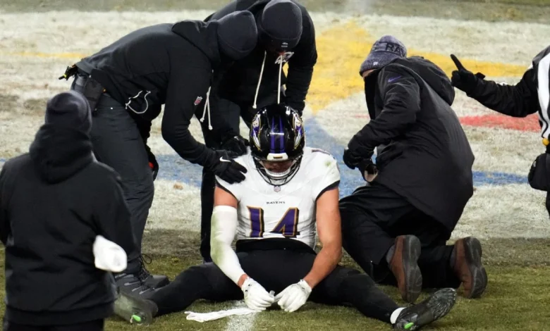 Ravens star Hamilton ruled out with concussion