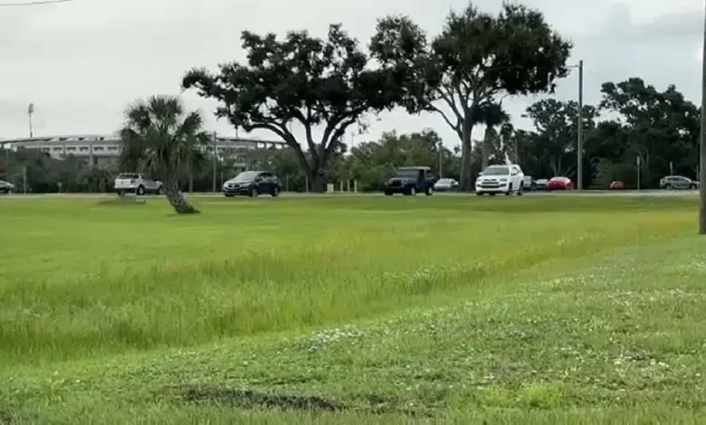 Rays, Hillsborough College officials may clarify stadium site ideas soon