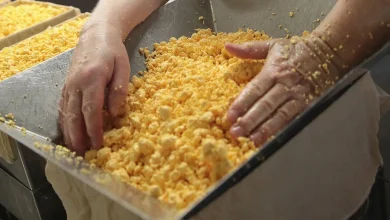 Recall for cheese in 20 states upgraded to highest class due to potential for listeria