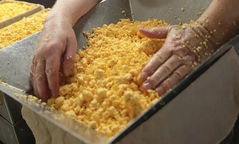 Recall for cheese in 20 states upgraded to highest class due to potential for listeria