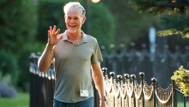 Reed Hastings Comments on Netflix Theatrical Movies