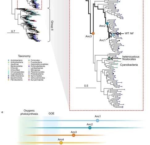 Resurrected nitrogenases recapitulate canonical N-isotope biosignatures over two billion years