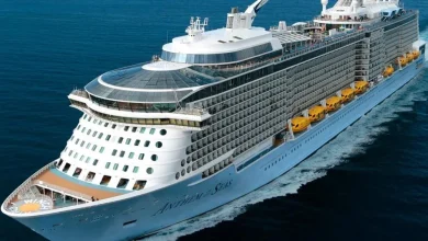 Royal Caribbean's Anthem OTS returns to port after propulsion fault
