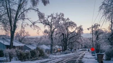 Rumors, Misinformation Add to Ice Storm Chaos | Pith in the Wind | Nashville News