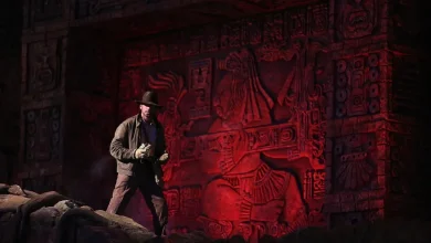 Runaway Indiana Jones boulder smashes into Disney World staffer