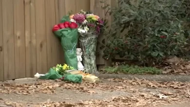 Ryan Camacho: 911 transcript reveals Raleigh teacher Zoe Welsh recognized intruder in her home