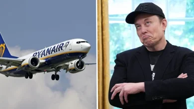 Ryanair Launches 'Idiots' Seat Sale 'for Elon' As Feud Escalates