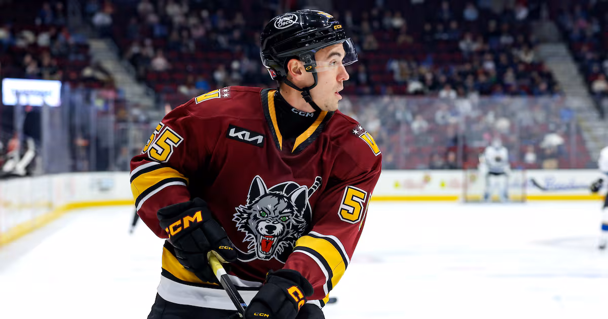 Sabres acquire D Bayreuther from Hurricanes for F Neuchev