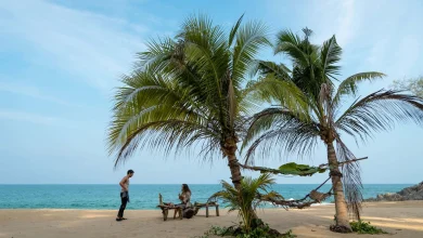 Sam Raimi's gleefully gross 'Send Help' is a dark workplace comedy