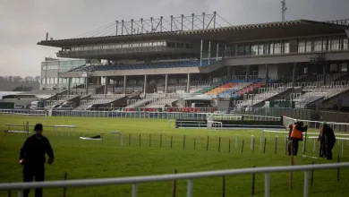 Sandown's Grade 1 meeting on Saturday passes inspection; more rain set to hit Leopardstown