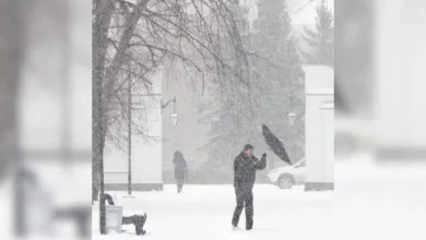 Sask. to see high winds, gusts up to 100 km/h and return to normal temps