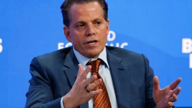 Scaramucci on Trump's move to cap credit-card fees: He's 'texting back and forth with Mayor Mamdani' - Fortune