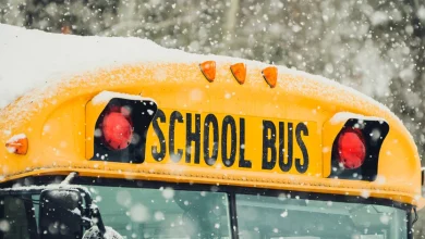 School bus crash leaves 1 dead, 11 injured in Illinois