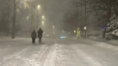 Schools Closed, Metrobus Stopped in First Storm of 2026