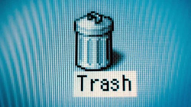 Scientist Horrified as ChatGPT Deletes All His "Research"