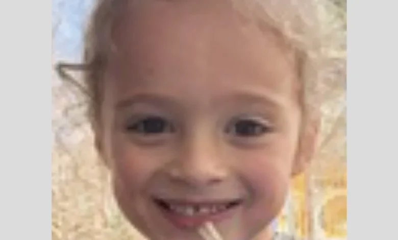 Search underway for 4-year-old Alabama boy missing since New Year's Eve