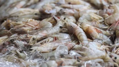 See the list of NOLA area eateries serving domestic shrimp | Environment