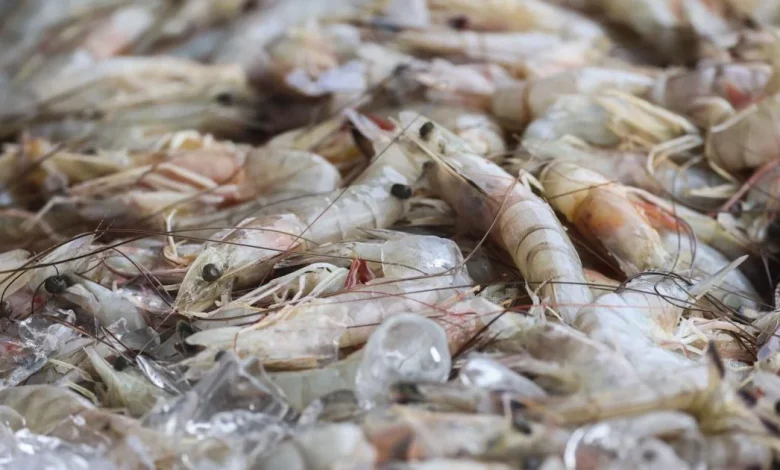 See the list of NOLA area eateries serving domestic shrimp | Environment