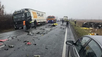 Seven PAOK fans killed in traffic crash in Romania