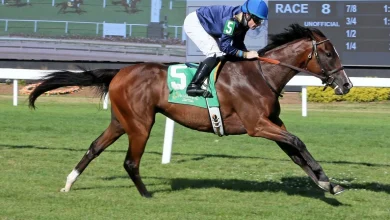 Sherbini, Tigerish Among Latest Keeneland January Supplements