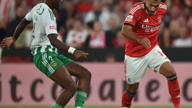Siga o Rio Ave vs Benfica em direto