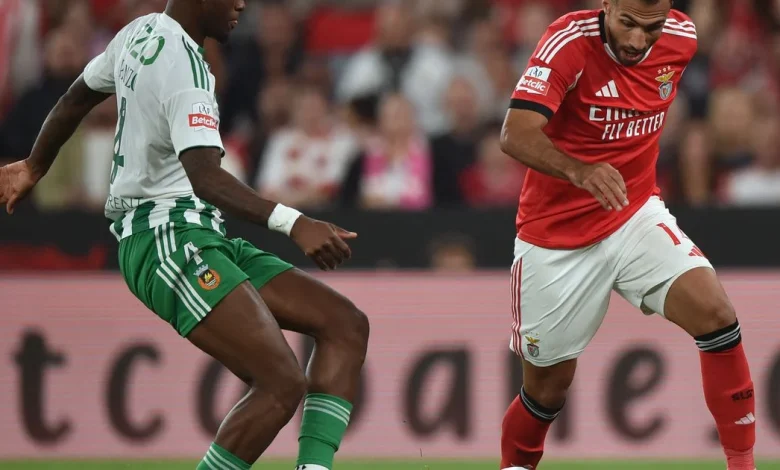 Siga o Rio Ave vs Benfica em direto