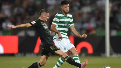 Siga o Sporting vs Casa Pia em direto