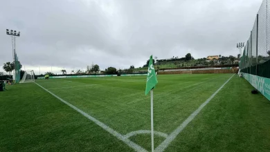 Sigma Ołomuniec – Legia Warszawa (mecz trwa)