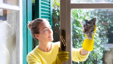 Simple trick to prevent winter sun from highlighting your streaky windows - it will cost you just 29p and takes minutes