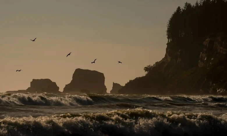Skeleton found on western Washington beach identified as former Oregon mayor