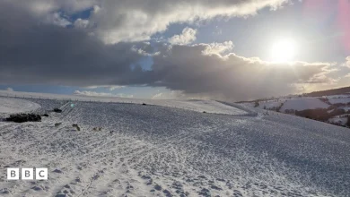 Snow 2026: Your frosty pics from around the UK