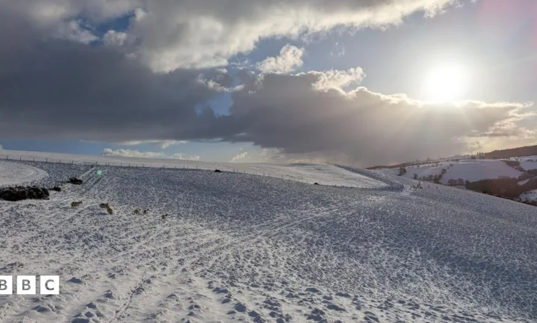 Snow 2026: Your frosty pics from around the UK