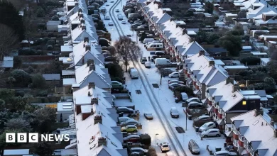 Snow falls in Sussex as temperatures plummet