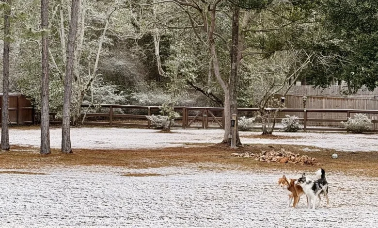 Snow hits Northwest Florida, Alabama coast for second straight year