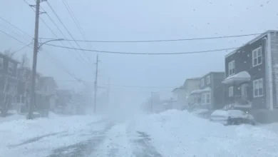 Snowfall Coming Tomorrow; South and East Coasts to See Highest Accumulations