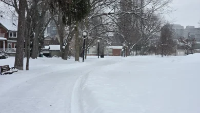 Snowfall warning issued for up to 20 cm Wednesday
