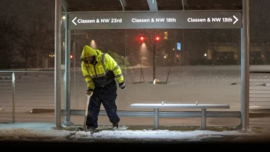Snowstorm leaves thousands without power across US