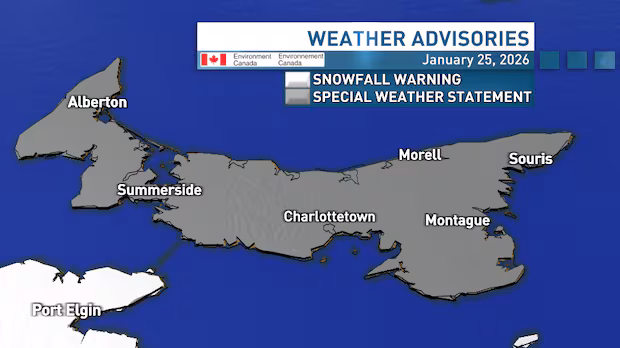 Snowstorm on the way for P.E.I., special weather statement issued