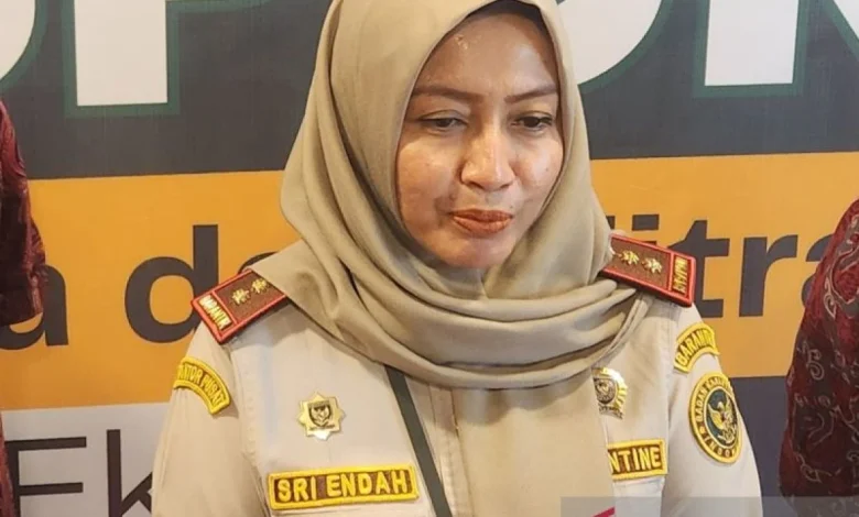 South Sumatra certifies Robusta coffee export to Australia