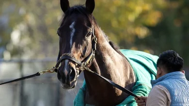 'Sovereign' Rule: Sovereignty A Runaway Winner of Horse of the Year, Champion 3YO Male