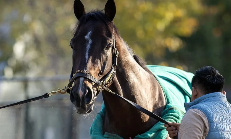 'Sovereign' Rule: Sovereignty A Runaway Winner of Horse of the Year, Champion 3YO Male