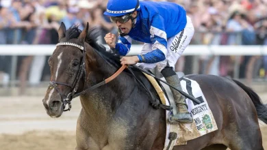 Sovereignty Will Not Be Ready For The Dubai World Cup