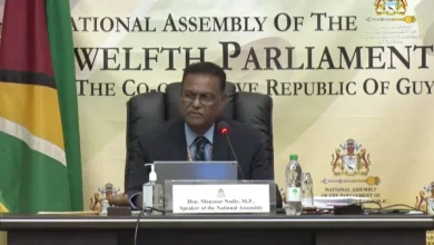 Speaker stands by his position on Leader of the Opposition