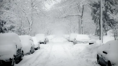 State of Emergency Declared - DEMA Emergency Operations Center Activated For Winter Storm Response