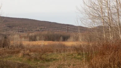 Statewide map shows planned data centers across PA • Spotlight PA