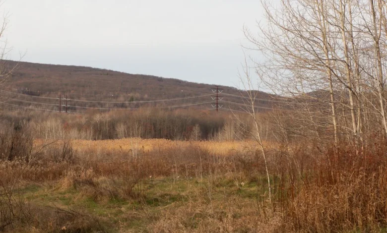 Statewide map shows planned data centers across PA • Spotlight PA