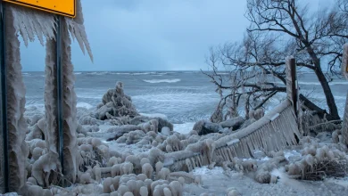 Stolen BMW freezes solid outside Hamburg, NY restaurant