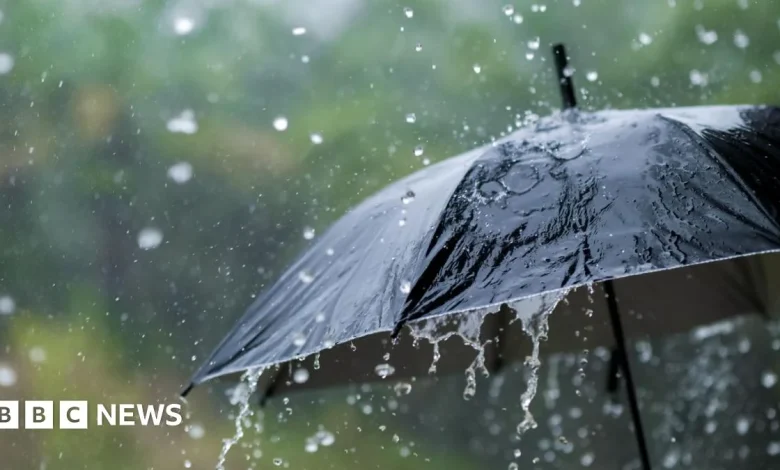 Storm Chandra: Yellow weather warning for wind and rain in NI