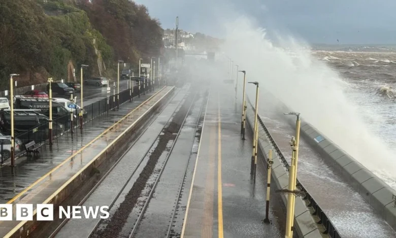 Storm Ingrid: South-west England rail lines to 'probably close'
