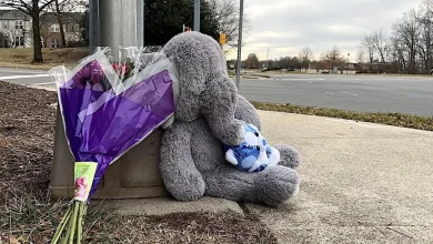 Student Struck, Killed By School Vehicle Near Stone Bridge High School - LoudounNow.com